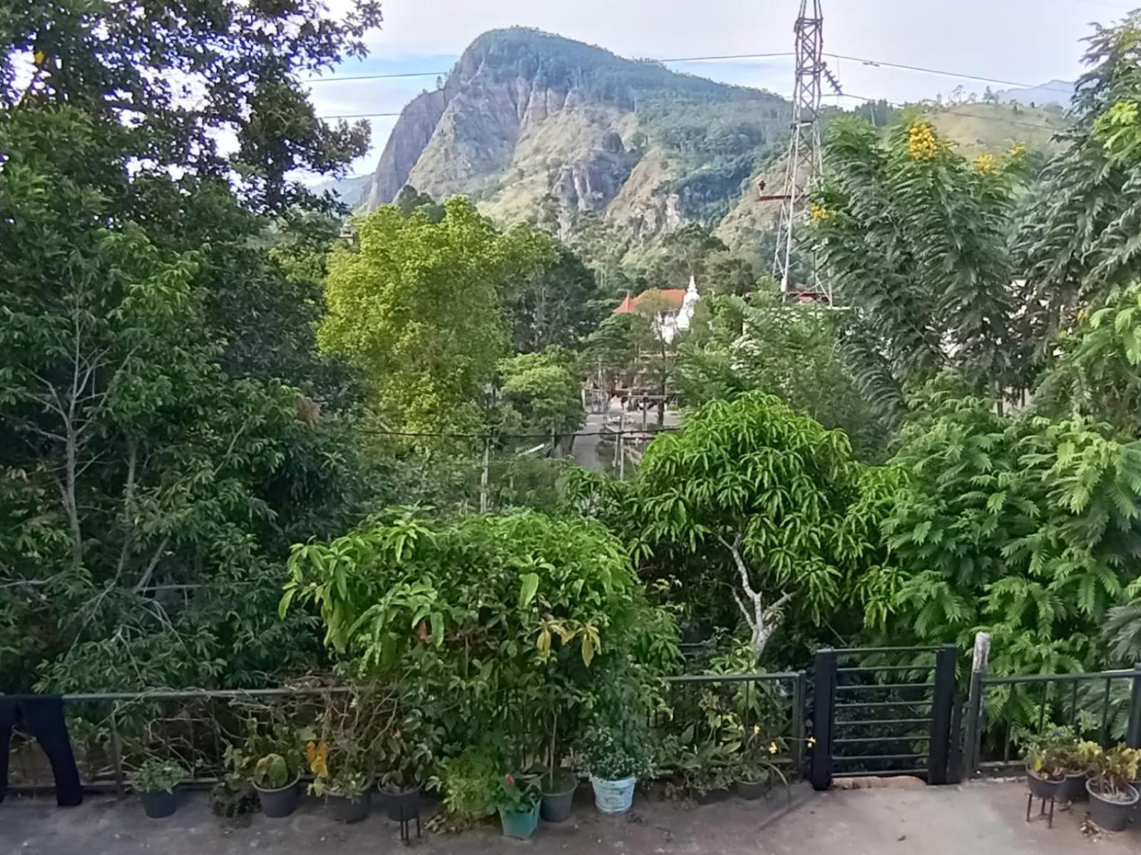 Welcome Homestay إيلا المظهر الخارجي الصورة